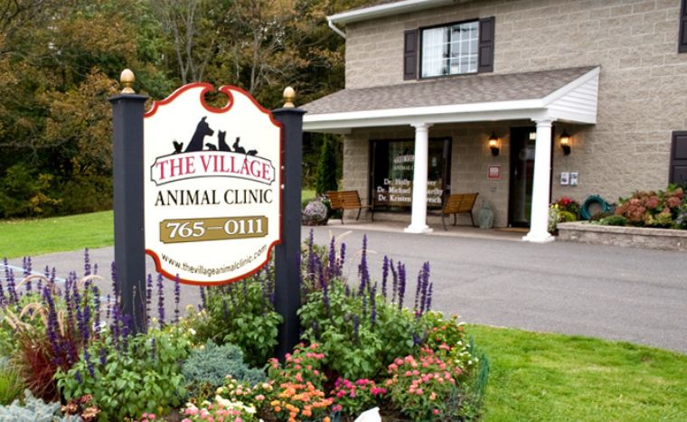 The Village Animal Clinic sign