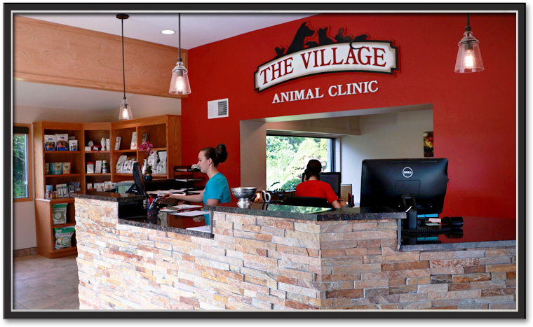 The Village Animal Clinic reception