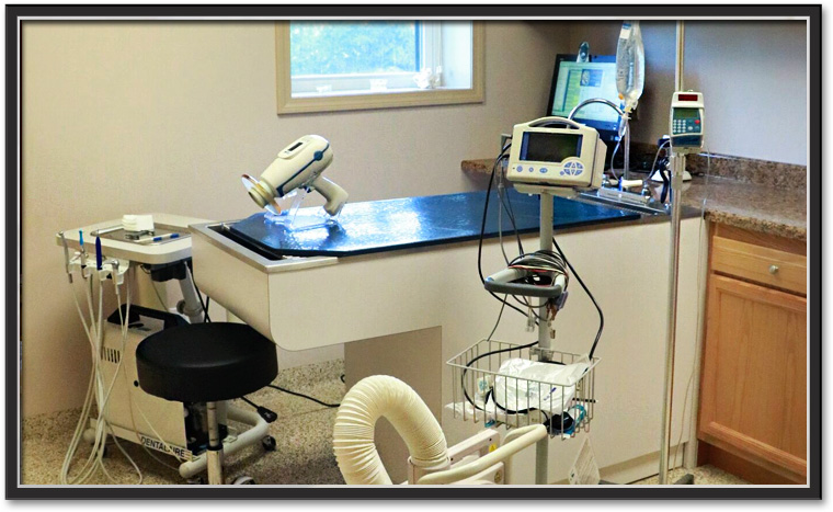 The Village Animal Clinic dental area
