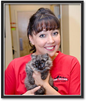 puppy and kitten care image